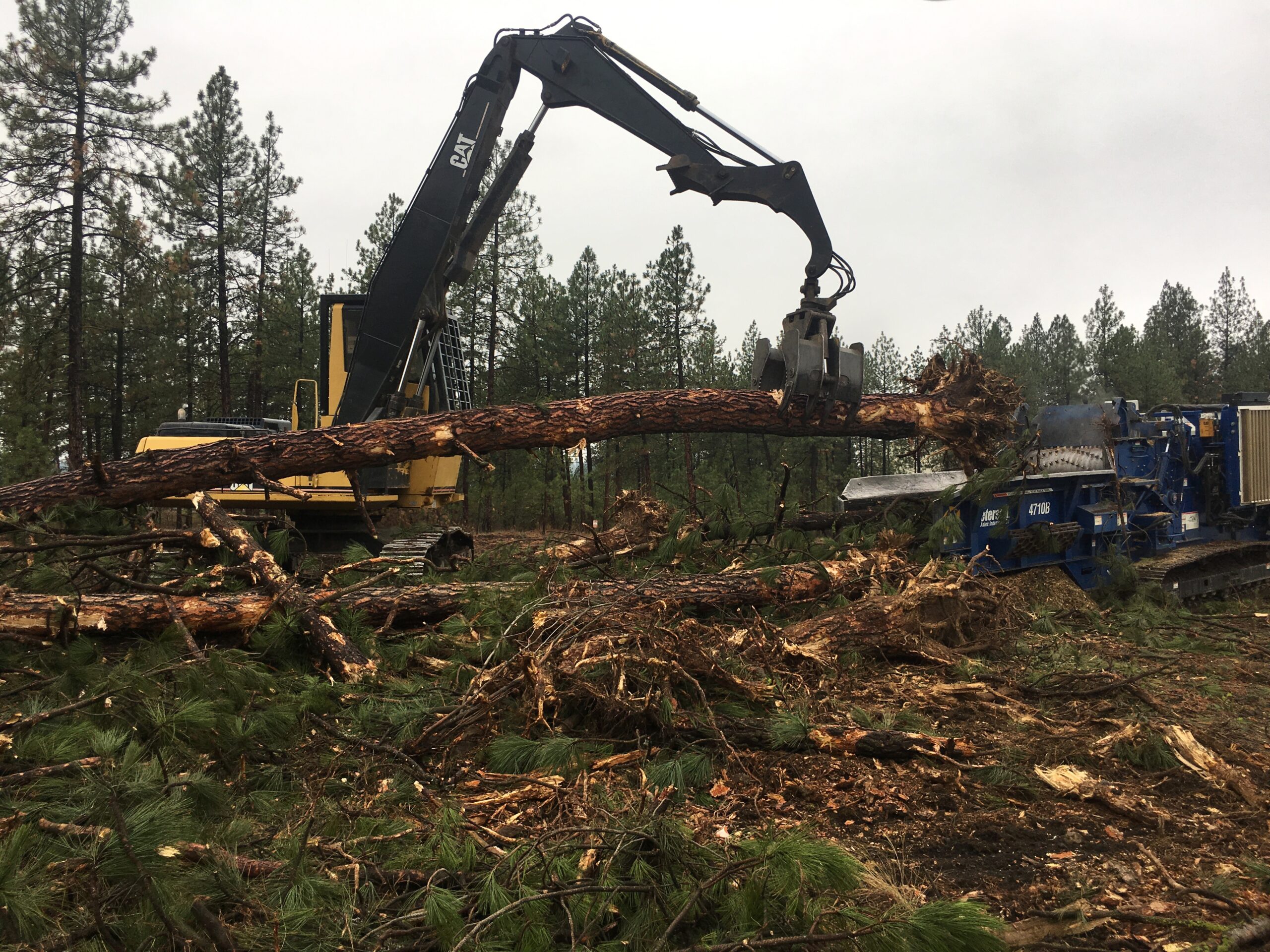 A heavy machine maneuvers a large tree log in a forested area, with wood chipper equipment visible in the background, showcasing logging operations.