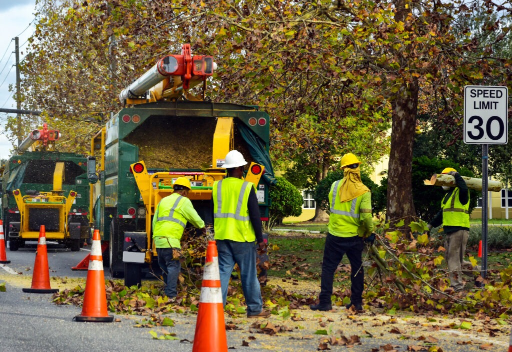 equipment and workers at tree removal site