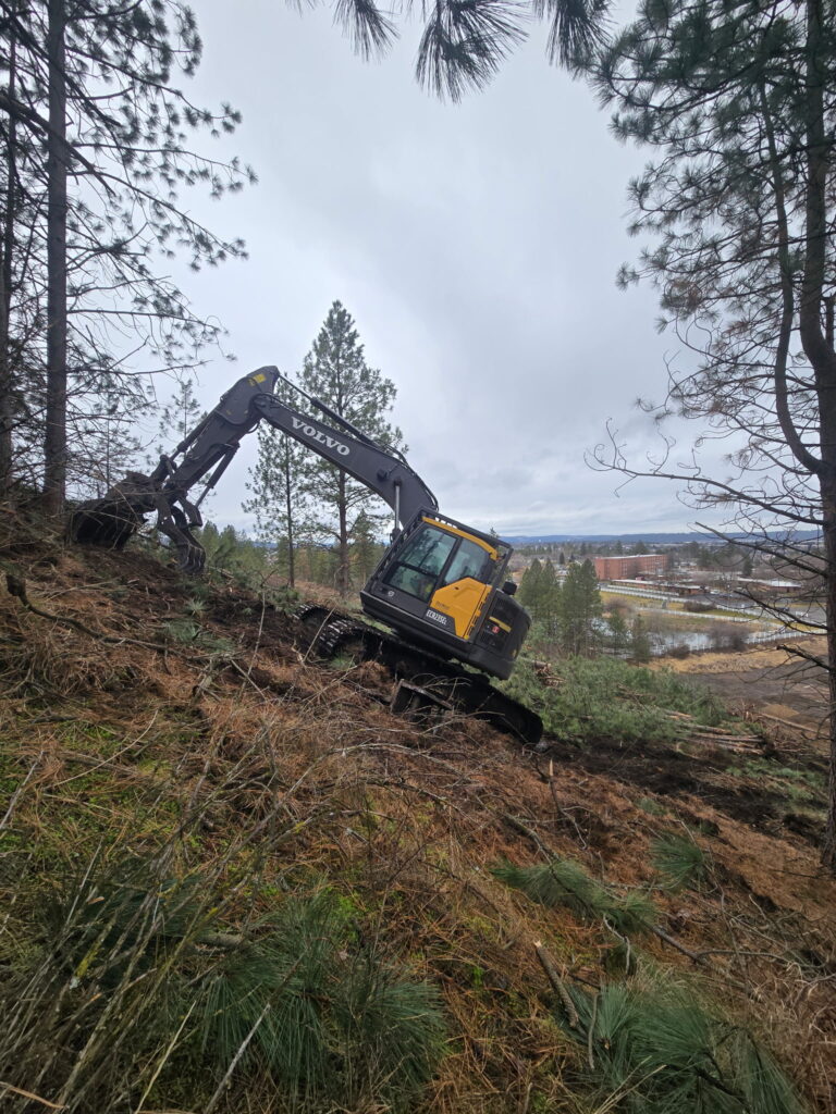 Excavator on a steep hillside, clearing trees and underbrush amidst a forested area. Background shows distant buildings and cloudy skies.